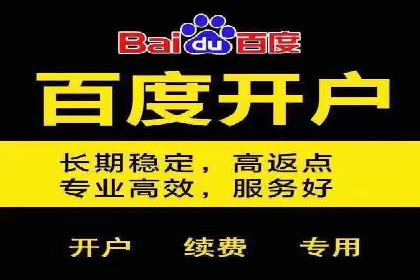 SEM广告投放案例：打造品牌影响力